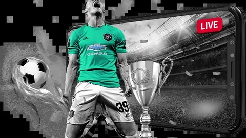 伊布深度对话：红黑情怀深植米兰心，角色蜕变后他如今如何